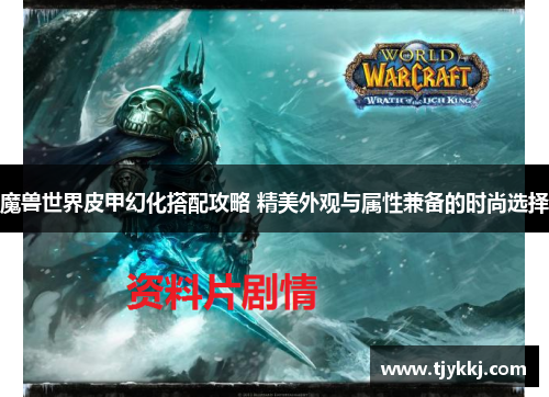 魔兽世界皮甲幻化搭配攻略 精美外观与属性兼备的时尚选择